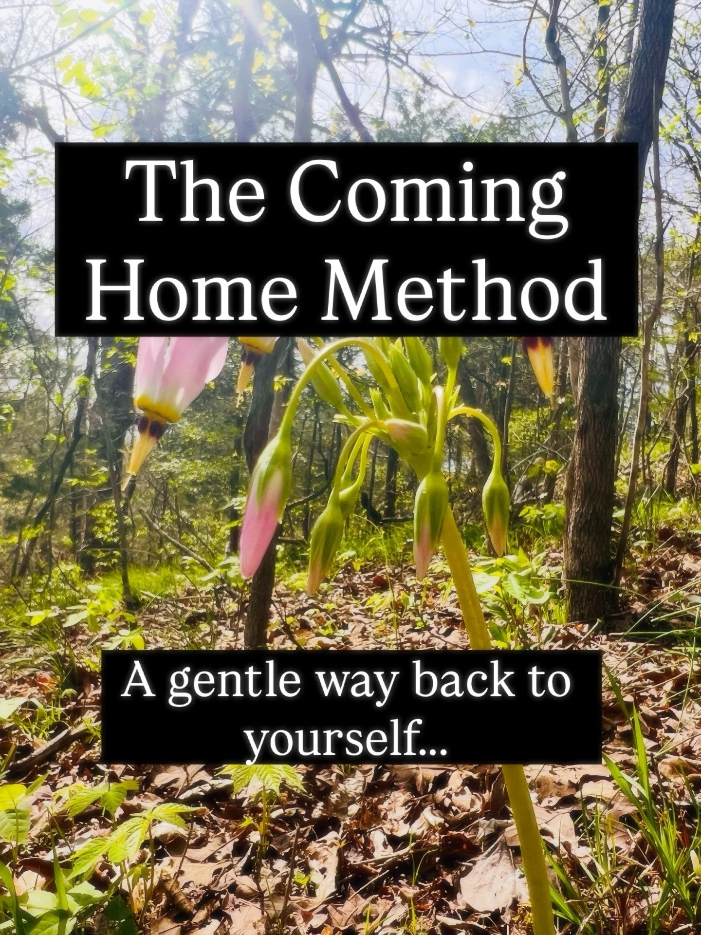 You don&rsquo;t wake up one day completely burned out and disconnected from yourself.

It happens slowly.
Layer by layer.
Over time.

You keep showing up.
Keep pushing through.
Keep telling yourself things will settle down eventually&hellip;

Until o