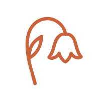 Simple line drawing of a flower with a drooping bloom