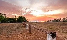 Merluna Station Accommodation and Rates (1).jpg