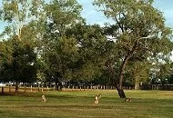 Merluna Station Accommodation and Rates (4).jpg