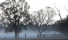 Merluna Station Accommodation and Rates (8).jpg