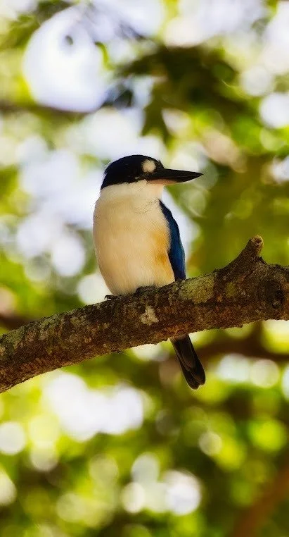 Merluna Station_Google Maps image (17).jpg