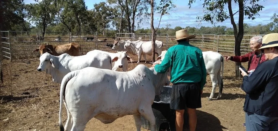 Merluna Station_Google Maps image (16).jpg