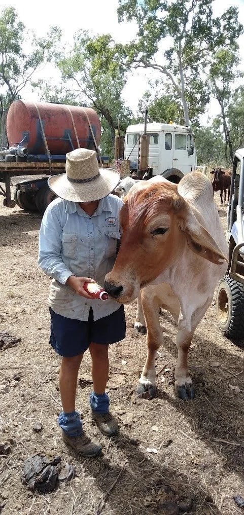 Merluna Station_Google Maps image (18).jpg