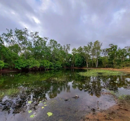 Merluna Station_Google Maps image (5).jpg