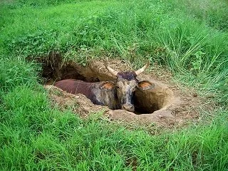 Merluna Station_Old Photo Gallery (4).jpg