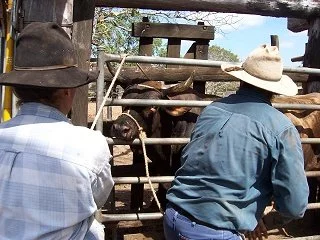 Merluna Station_Old Photo Gallery (5).jpg