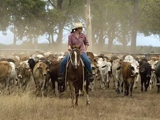 Merluna Station_Old Photo Gallery (7).jpg