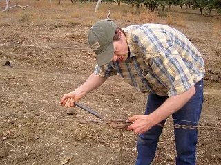 Merluna Station_Old Photo Gallery (8).jpg