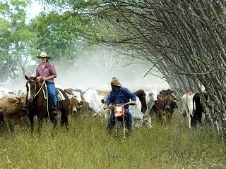 Merluna Station_Old Photo Gallery (11).jpg