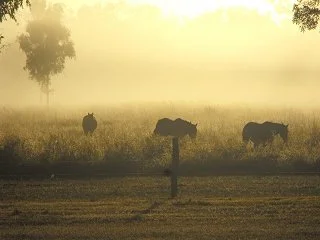 Merluna Station_Old Photo Gallery (15).jpg