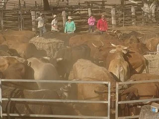 Merluna Station_Old Photo Gallery (16).jpg