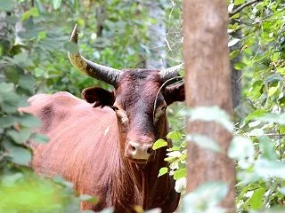 Merluna Station_Old Photo Gallery (19).jpg