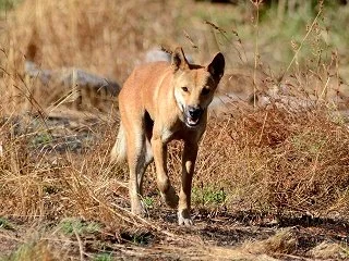 Merluna Station_Old Photo Gallery (20).jpg