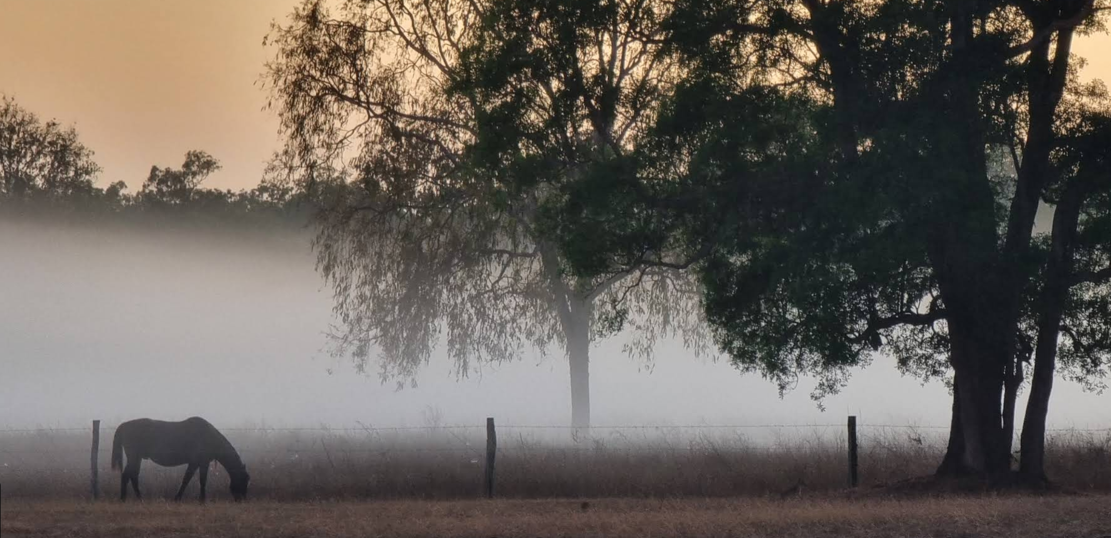 Banner welcome_Merluna Station North Queensland_07.png