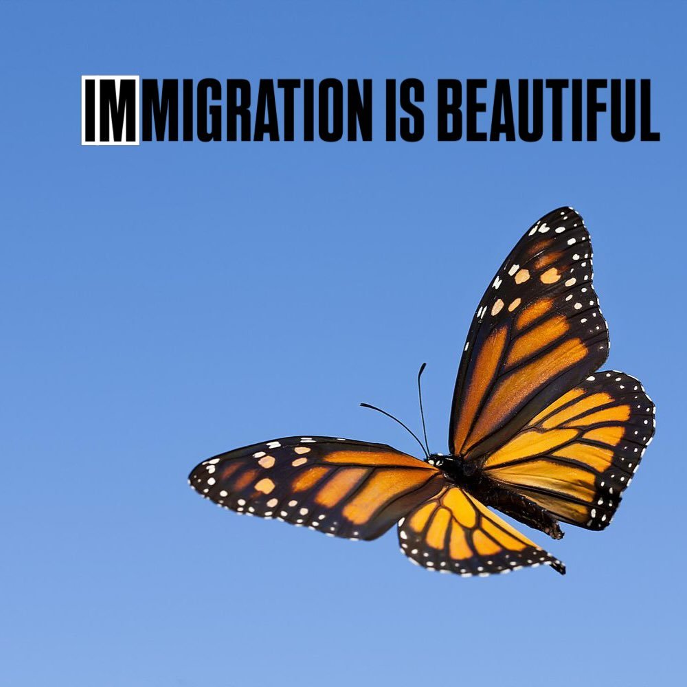 Immigrants are welcome here. @homedepot Don&rsquo;t you agree?
