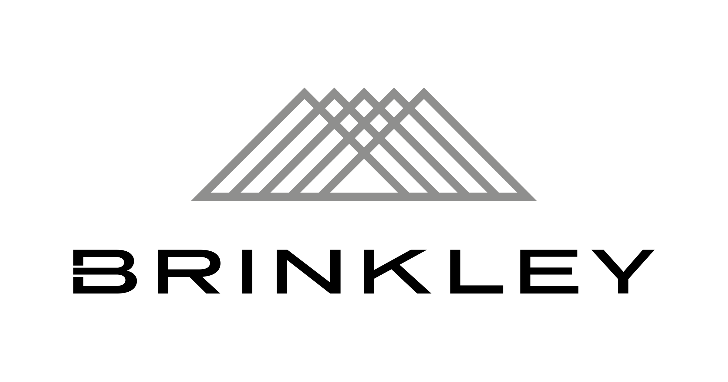 Brinkley_RV_Manufacturer_2400.png