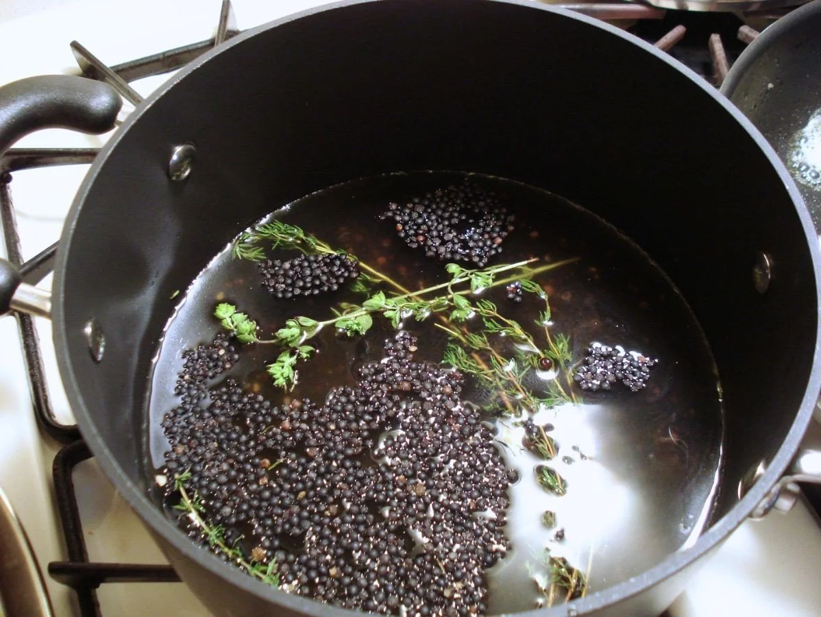 beluga lentils and herb in pot
