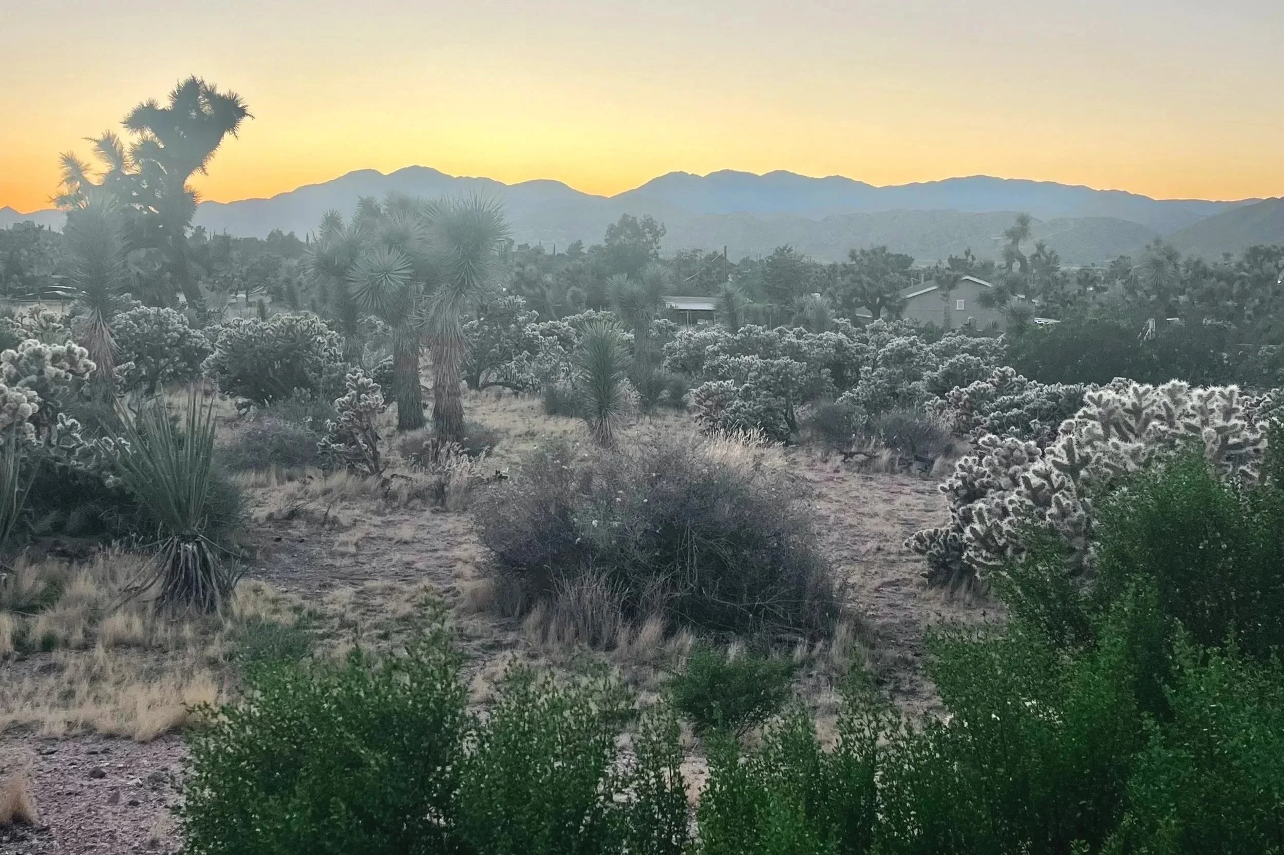 (Book) The Desert: New Perspectives on Humans, Nature, and Technology (2027)