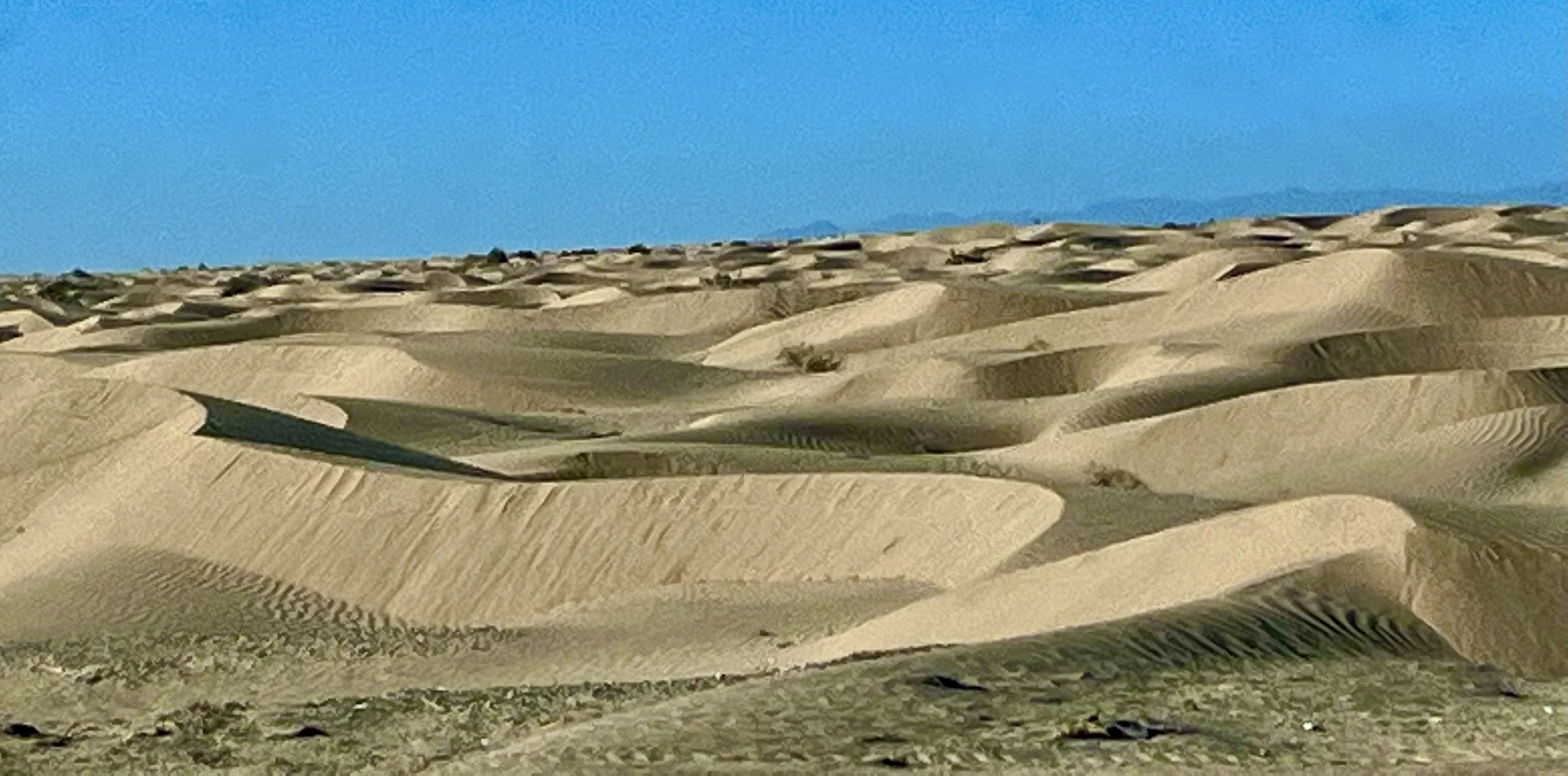 Quantum Deserts (2027)