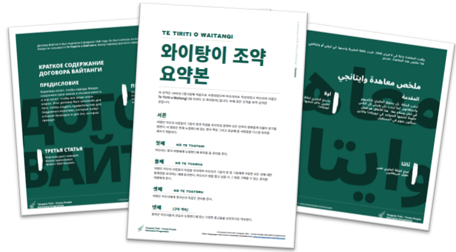 ECC Te Tiriti Workshop - Image 3.png