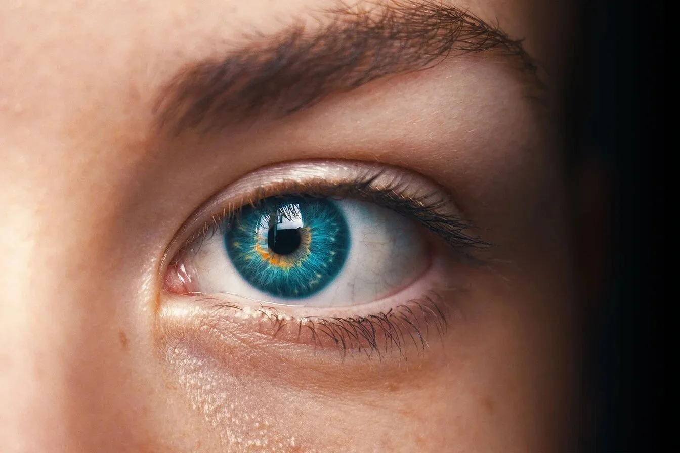 Macular Degeneration Seminar New Zealand  新西兰黄斑变性与视力健康讲座