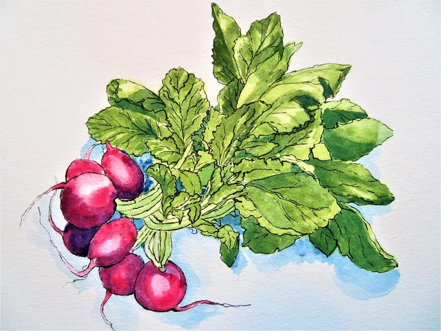 Watercolour studies (3).JPG