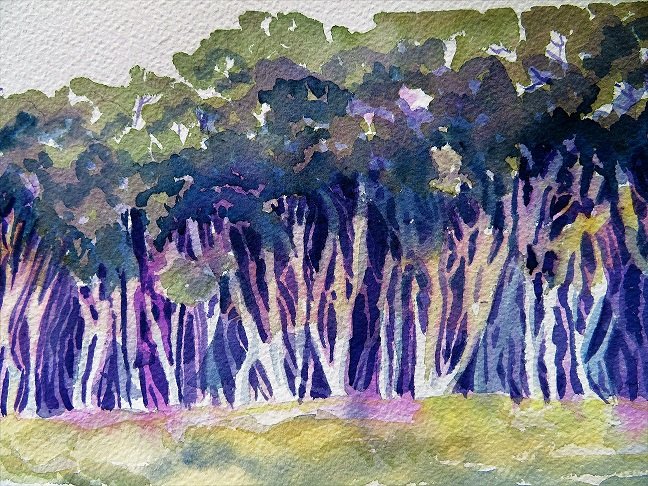 Watercolour studies (8).JPG