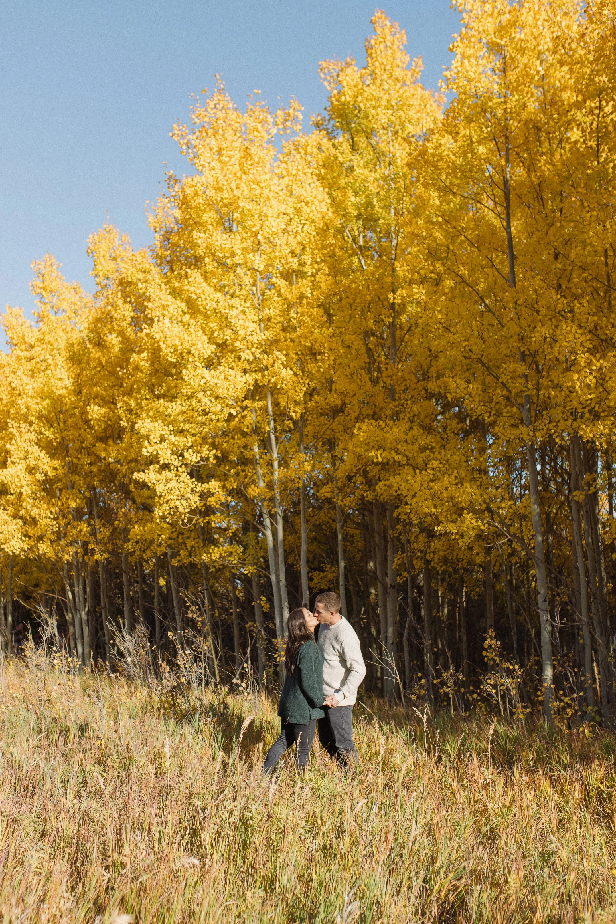 A couple kissing in a field of tall grass, with yellow-leaved trees in the background during fall.