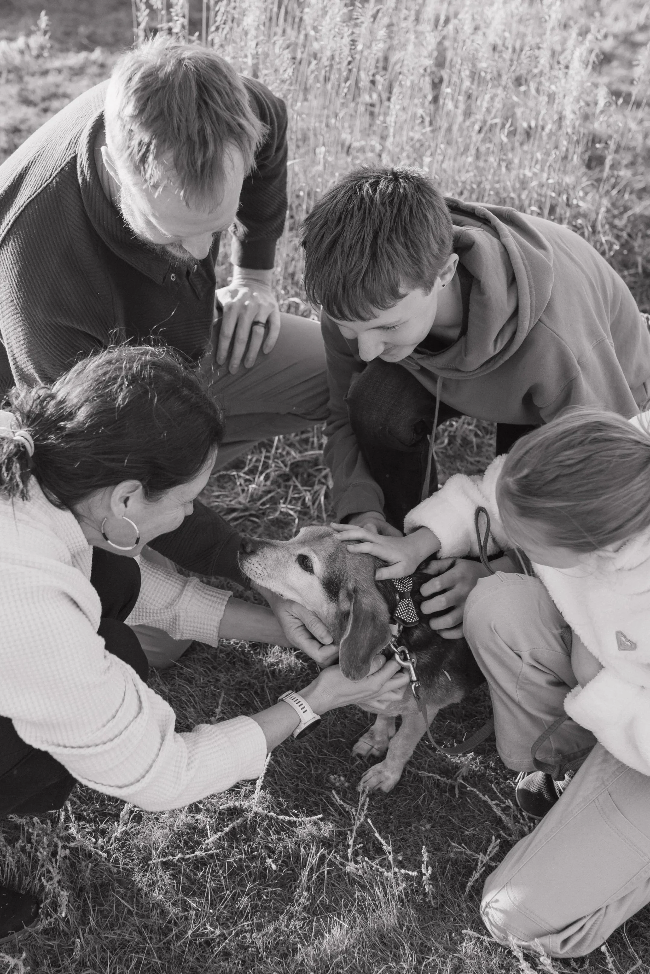 Five people gathered outdoors around a dog, petting and examining it.