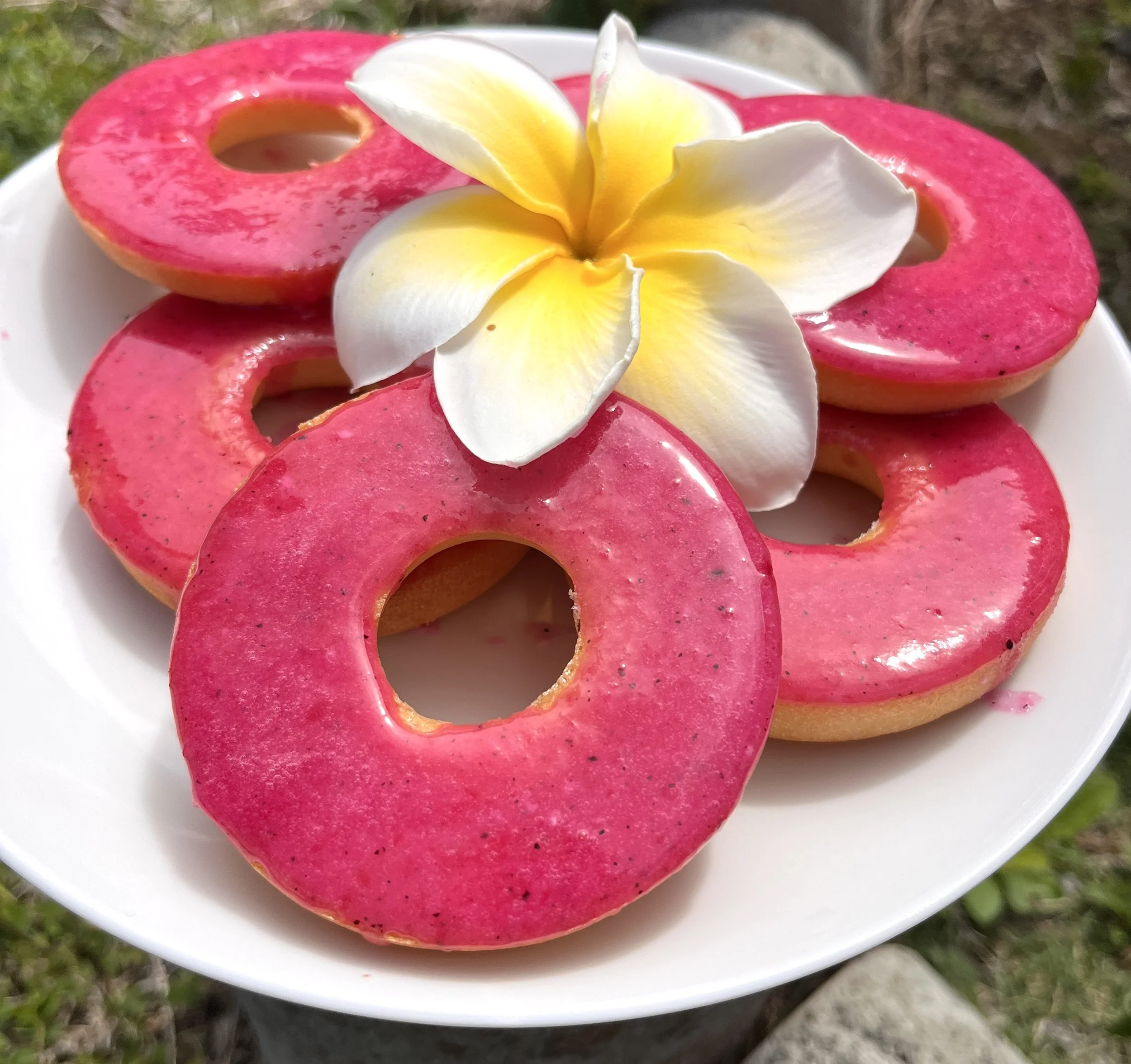 Gluten free mochi donuts with dragon fruit glaze.