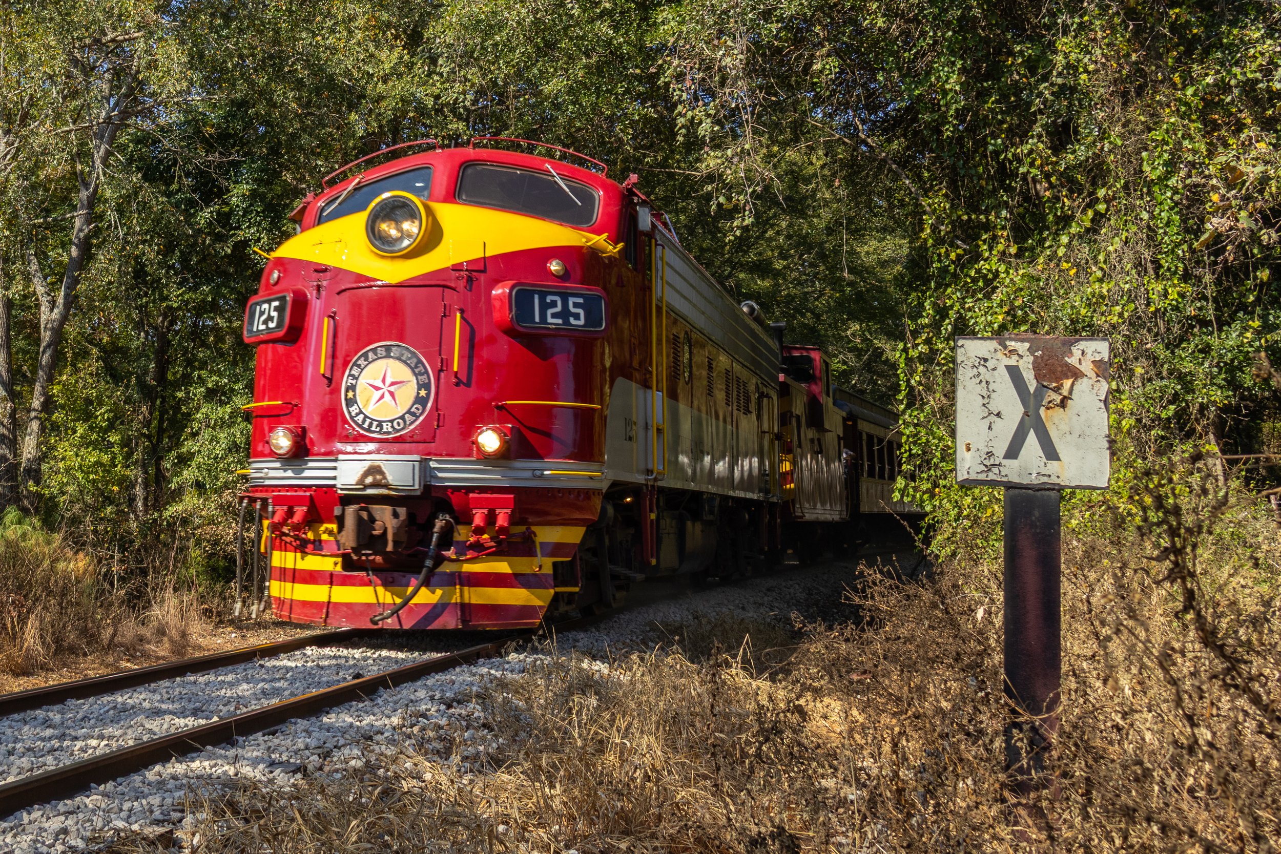 20251012_texas_state_railroad_october-3.jpg