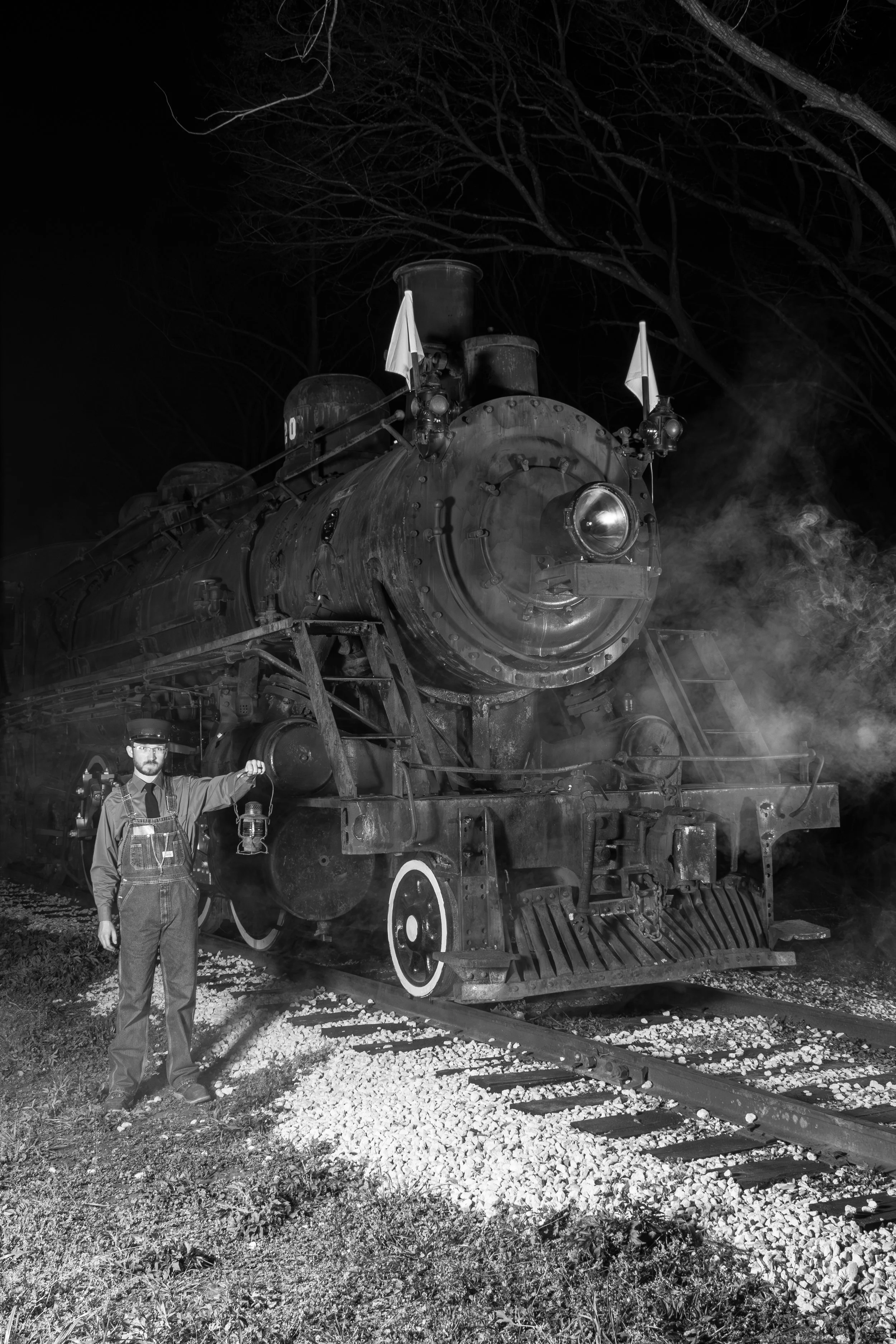 Southern Pines Under Moonlight