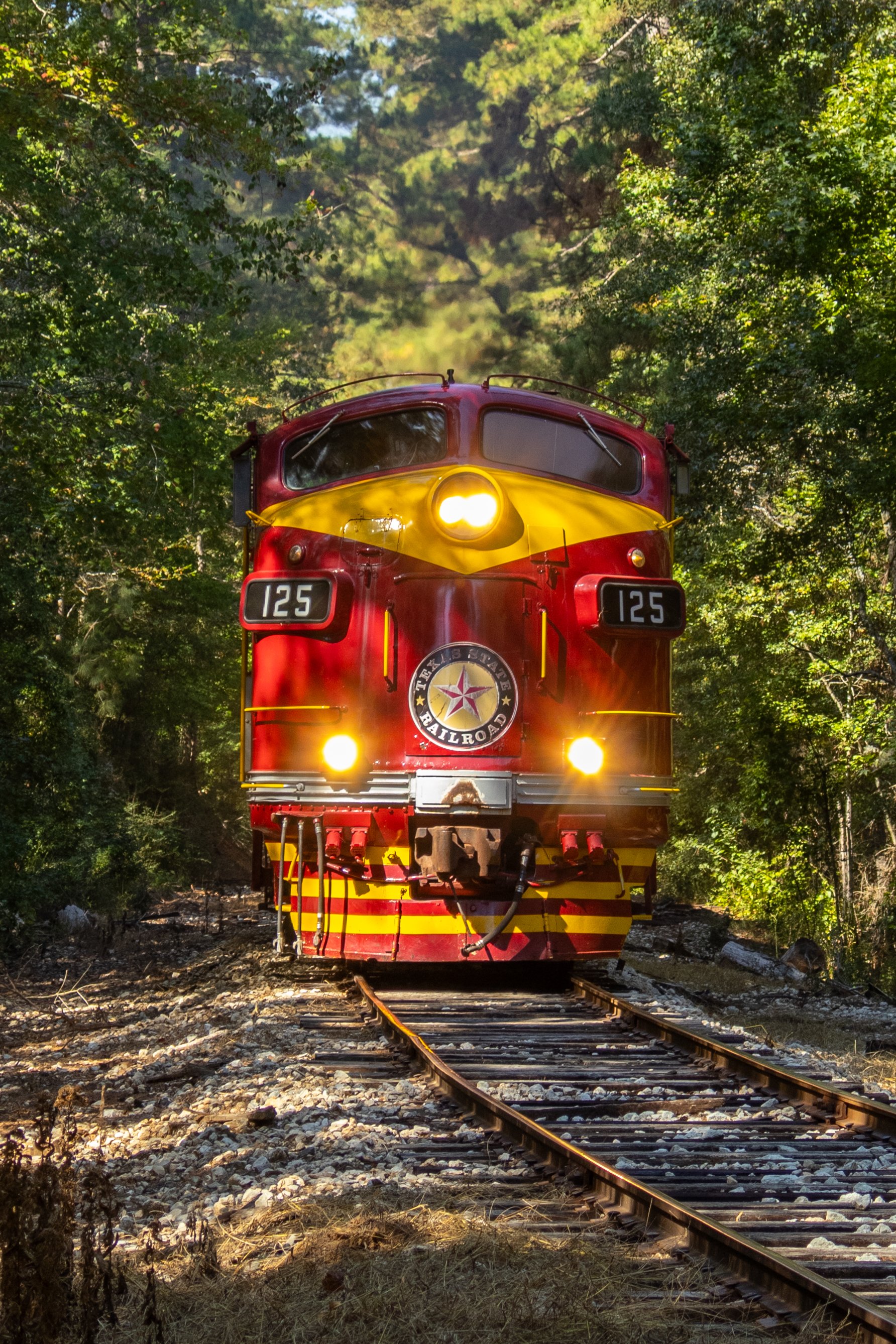 20251012_texas_state_railroad_october-5.jpg