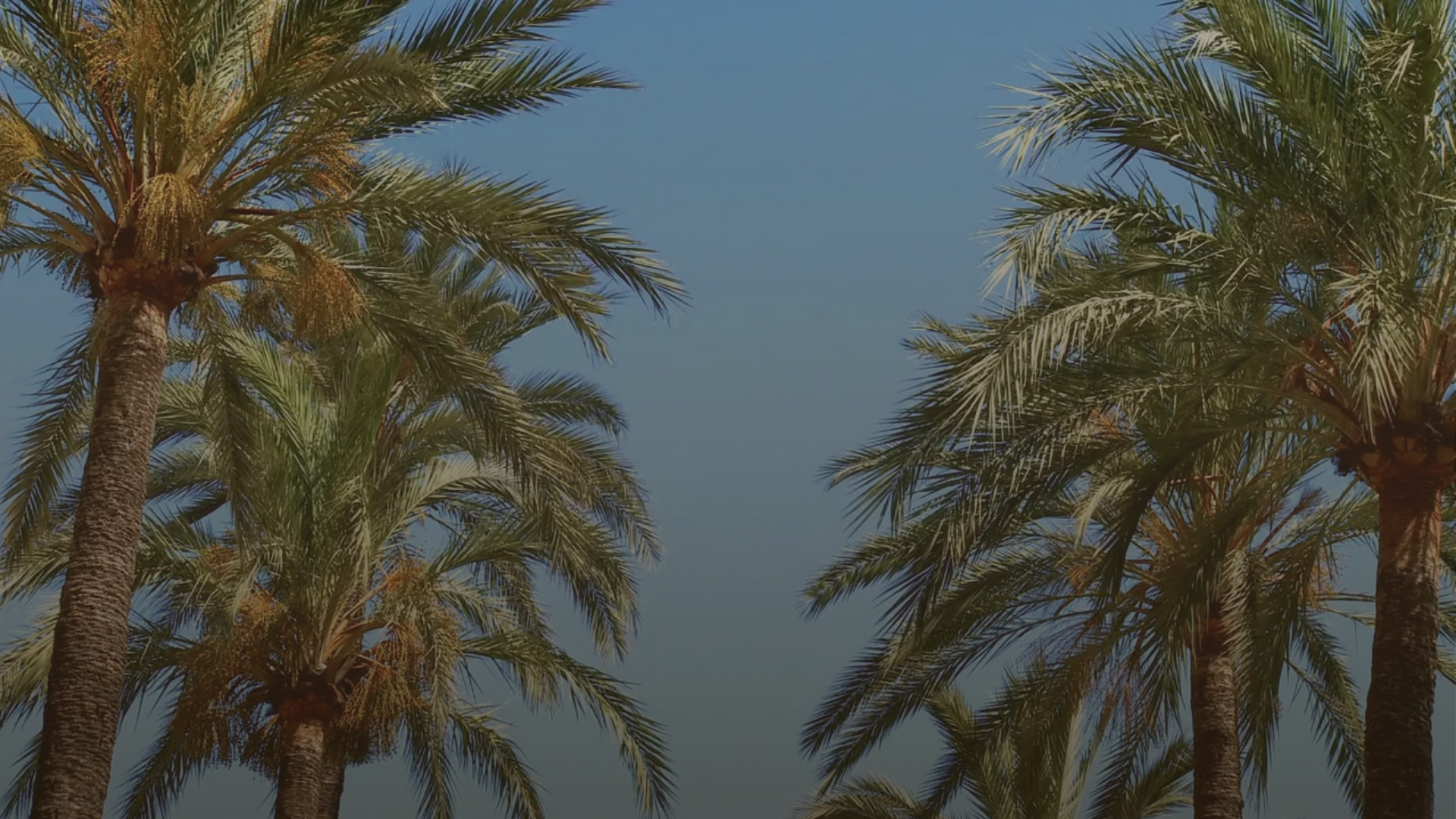 Untitled design (2).png