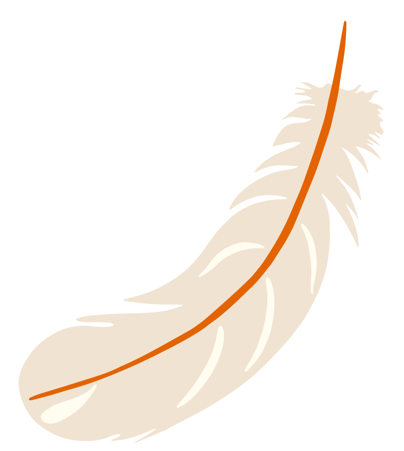 A light-colored feather with a brown central quill.