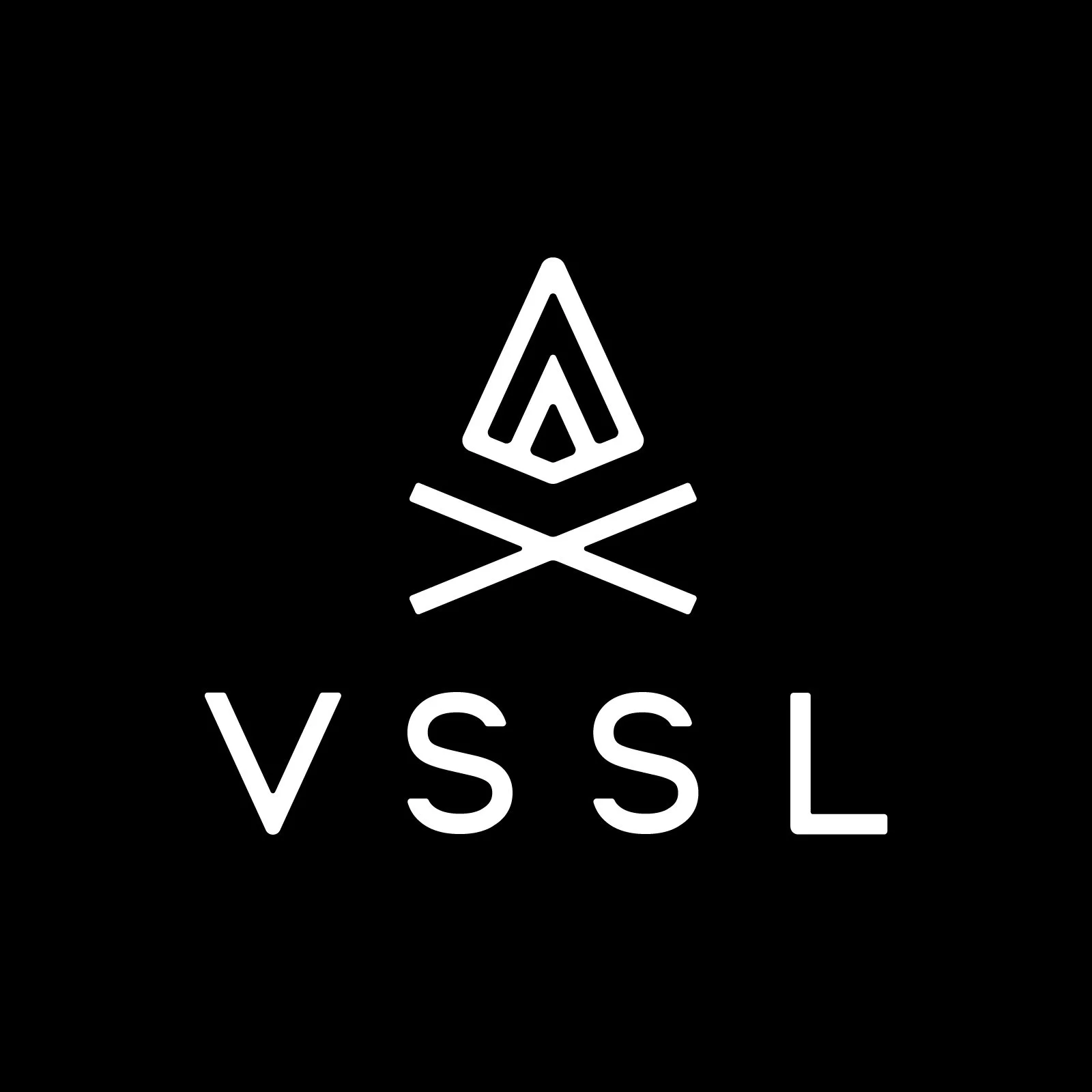 VSSL_LOGO_NEW_2022_White.jpg