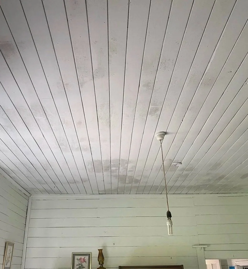 Ceiling with white wooden paneling and a hanging light bulb in a room with white shiplap walls.