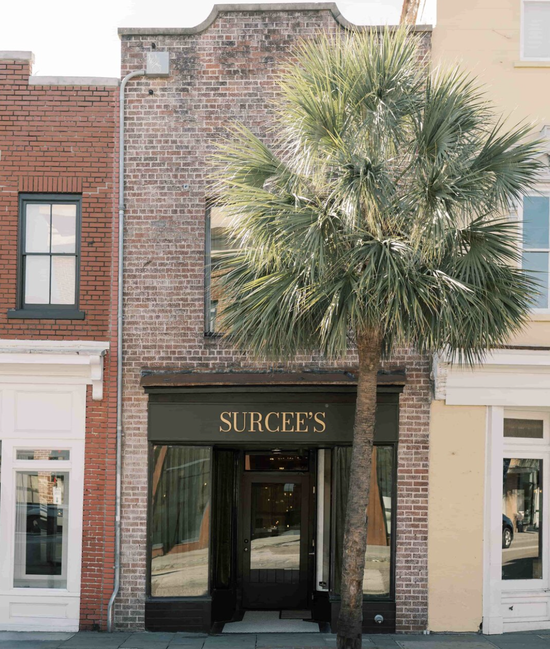 The storefront of a building with a sign labeled 'SURCEE'S', two large windows, a brick facade, and a tall palm tree in front.