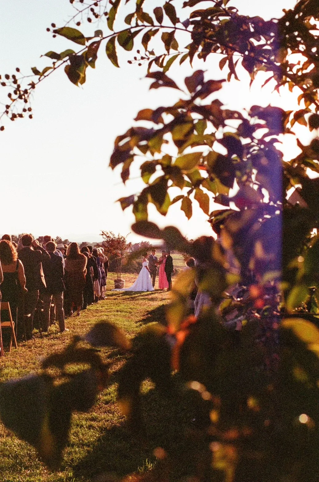 DAYNACOLEMAN_film_Oct2024-19 copy.jpeg