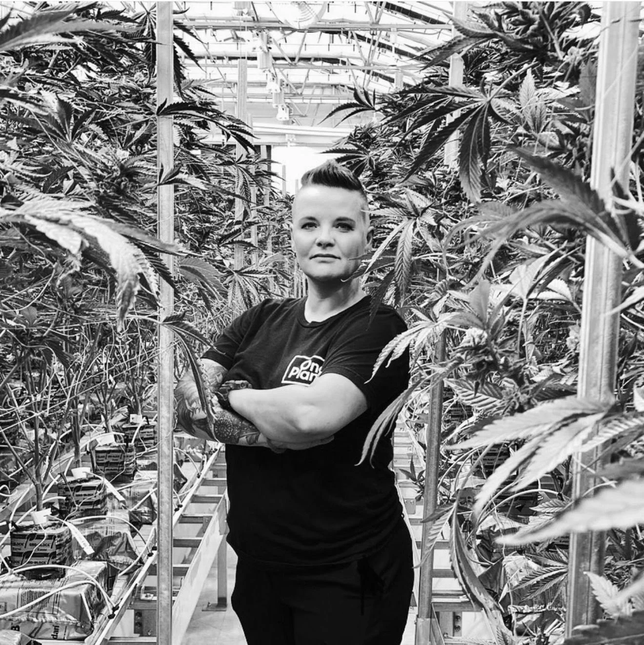 In my early years of running cannabis retail in Florida, I had a team of capable people. Smart. Experienced. Trained.

And I was the one stepping into everything.

I told myself it was because I cared. Because the standards mattered. Because if I did