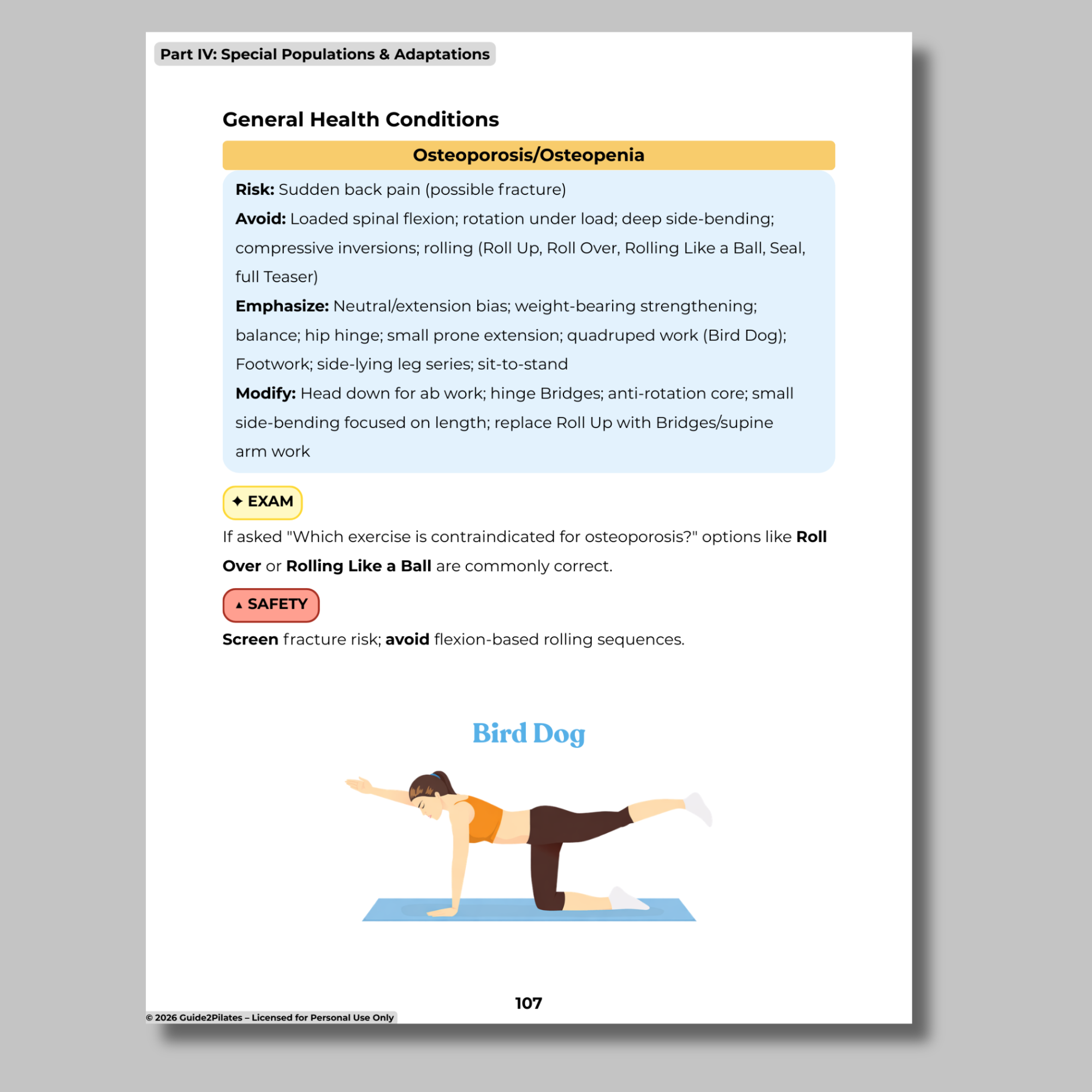 Untitled design (10).png