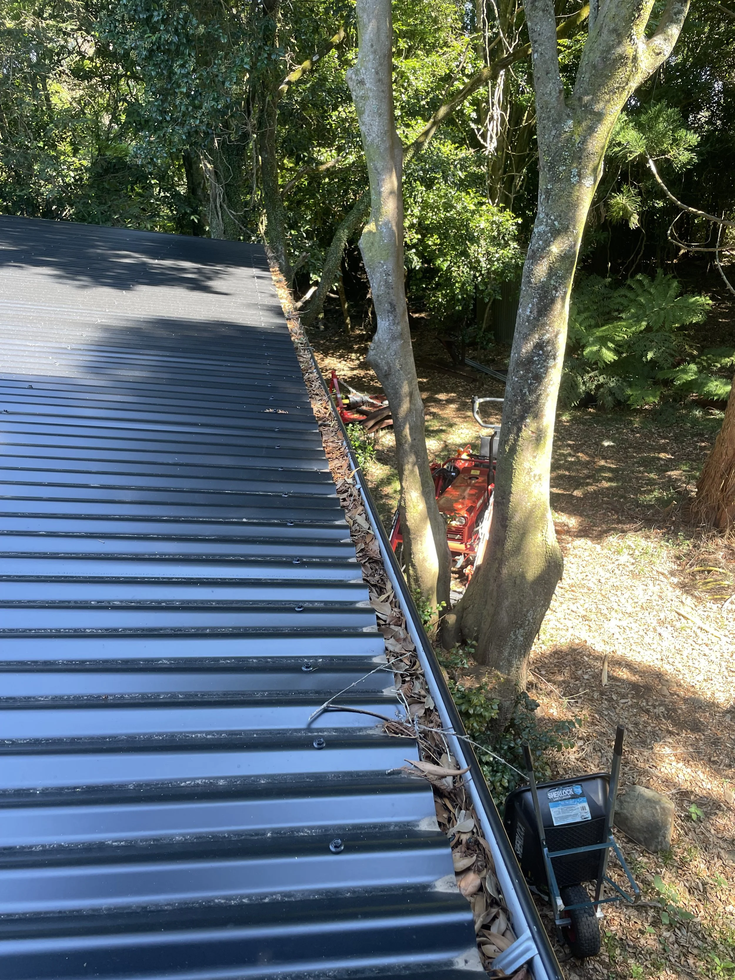 Blocked gutter full of debris before cleaning, Bowral