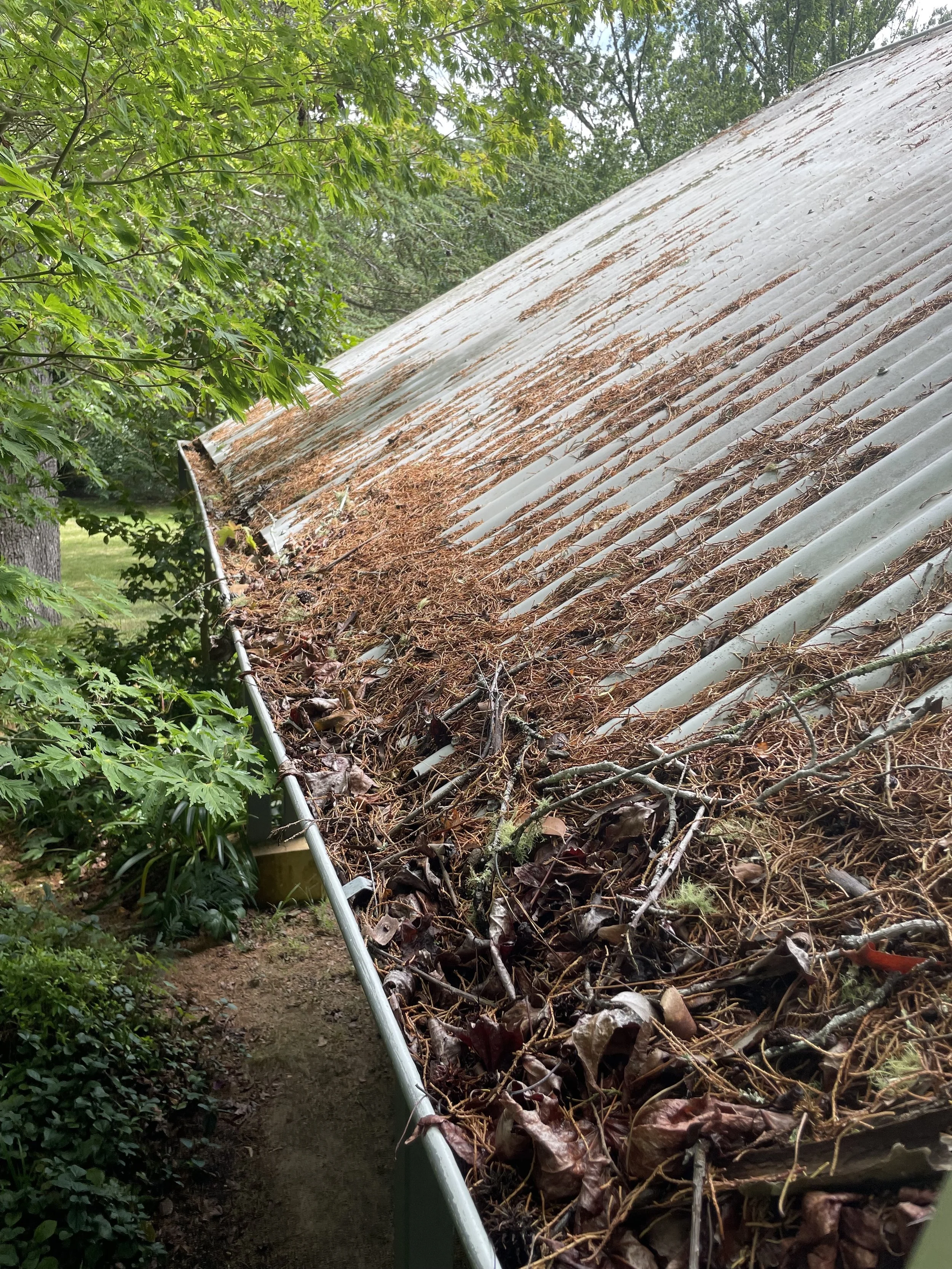 Blocked gutter full of leaves and debris before cleaning, Gerringong