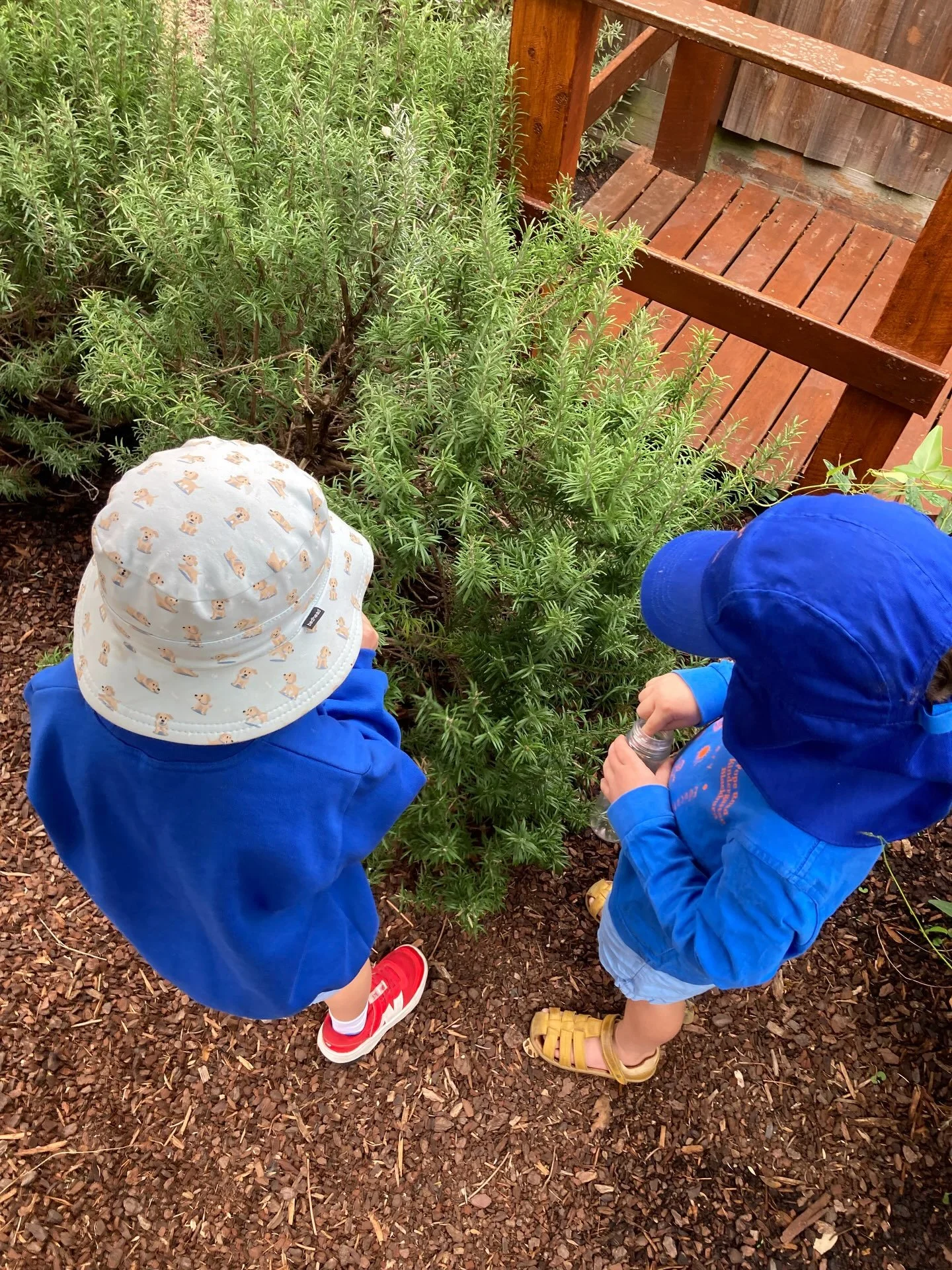 We know that children&rsquo;s participation in gardening enriches their awareness and understandings, through lived experiences, of the relationship between place, people and nature.
&nbsp;
What a delight it is to work and learn in soil!
The Herb Gar