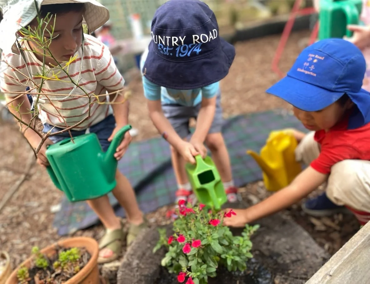 In our garden, &lsquo;watering the plants&rsquo; is an opportunity and responsibility. We can learn about:&nbsp;
&nbsp;&nbsp;&nbsp;&nbsp;&bull;&nbsp;&nbsp;&nbsp;&nbsp;Caring for Country: Building a connection with the land and learning about shared r