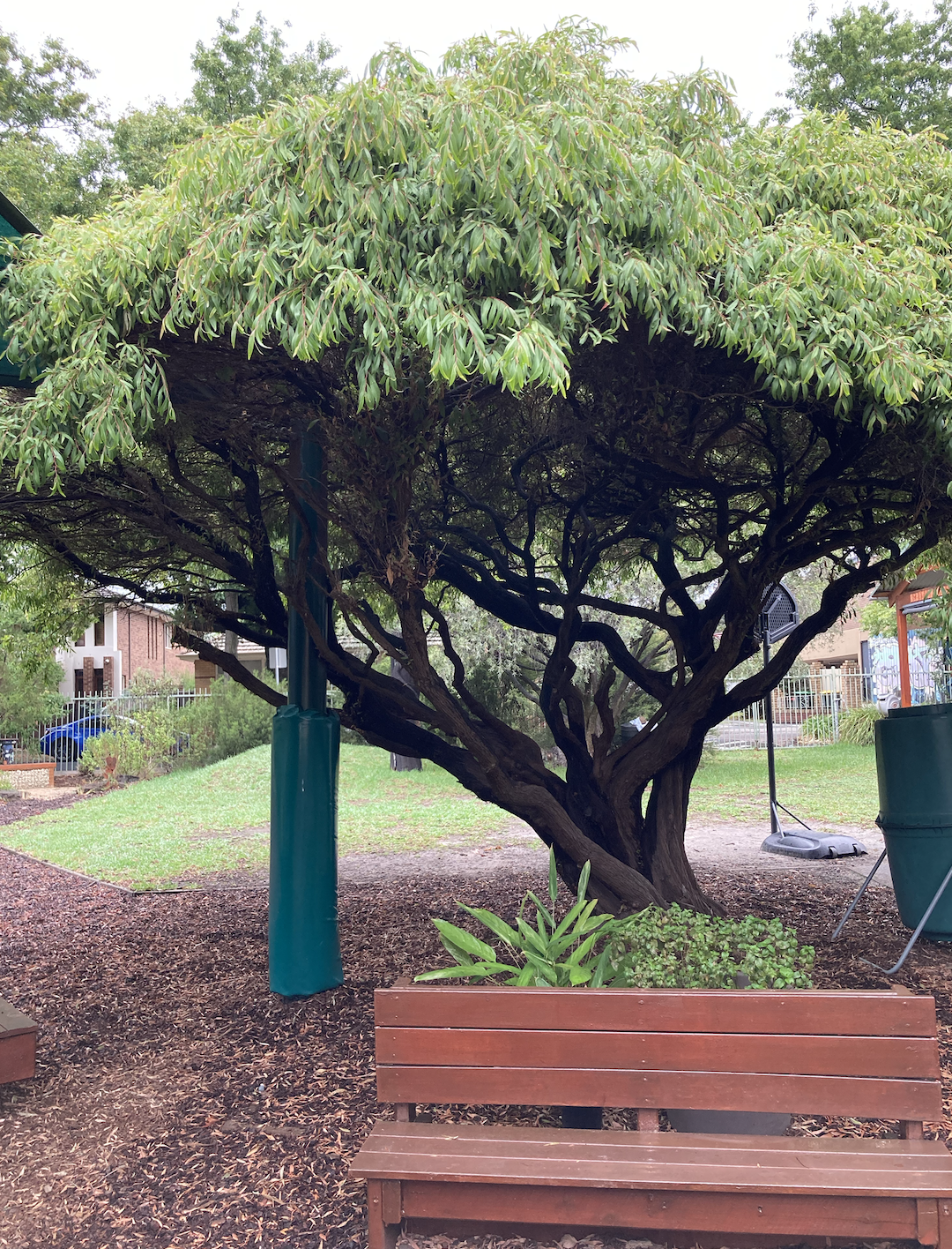 Screenshot 2026-03-08 at 4.15.33 PM.png