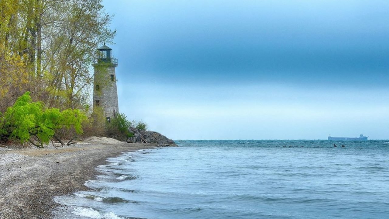 Environmental Sustainability: Why it's Important and What You Can Do