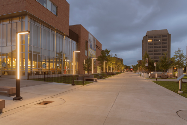 All of the things I could’ve done…but probably wouldn’t have: A student’s reflection on COVID-19