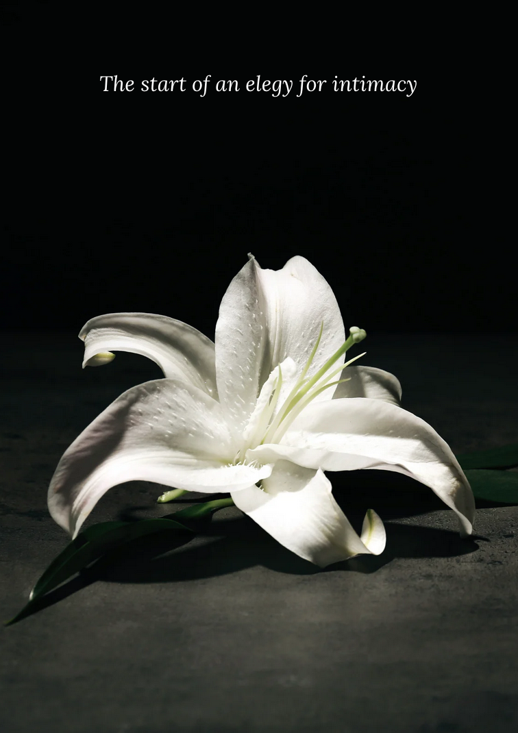 The start of an elegy for intimacy&nbsp;&nbsp;